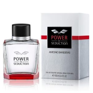 Power of Seduction EDT 100ml for Men in Kenya